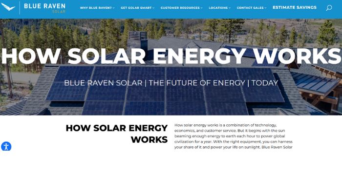 blue raven solar reviews